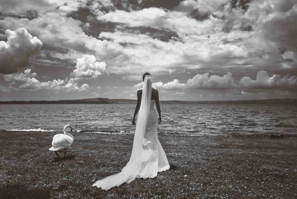 Sposa di spalle che osserva il lago con cigno accanto